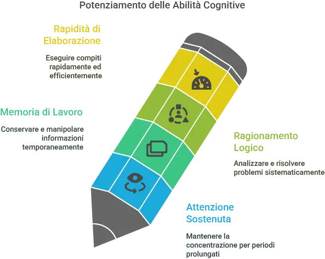 Grafico a forma di matita che mostra le aree di rapidità di elaborazione, memoria di lavoro, ragionamento logico e attenzione sostenuta promosse dal doposcuola estivo a Latina
